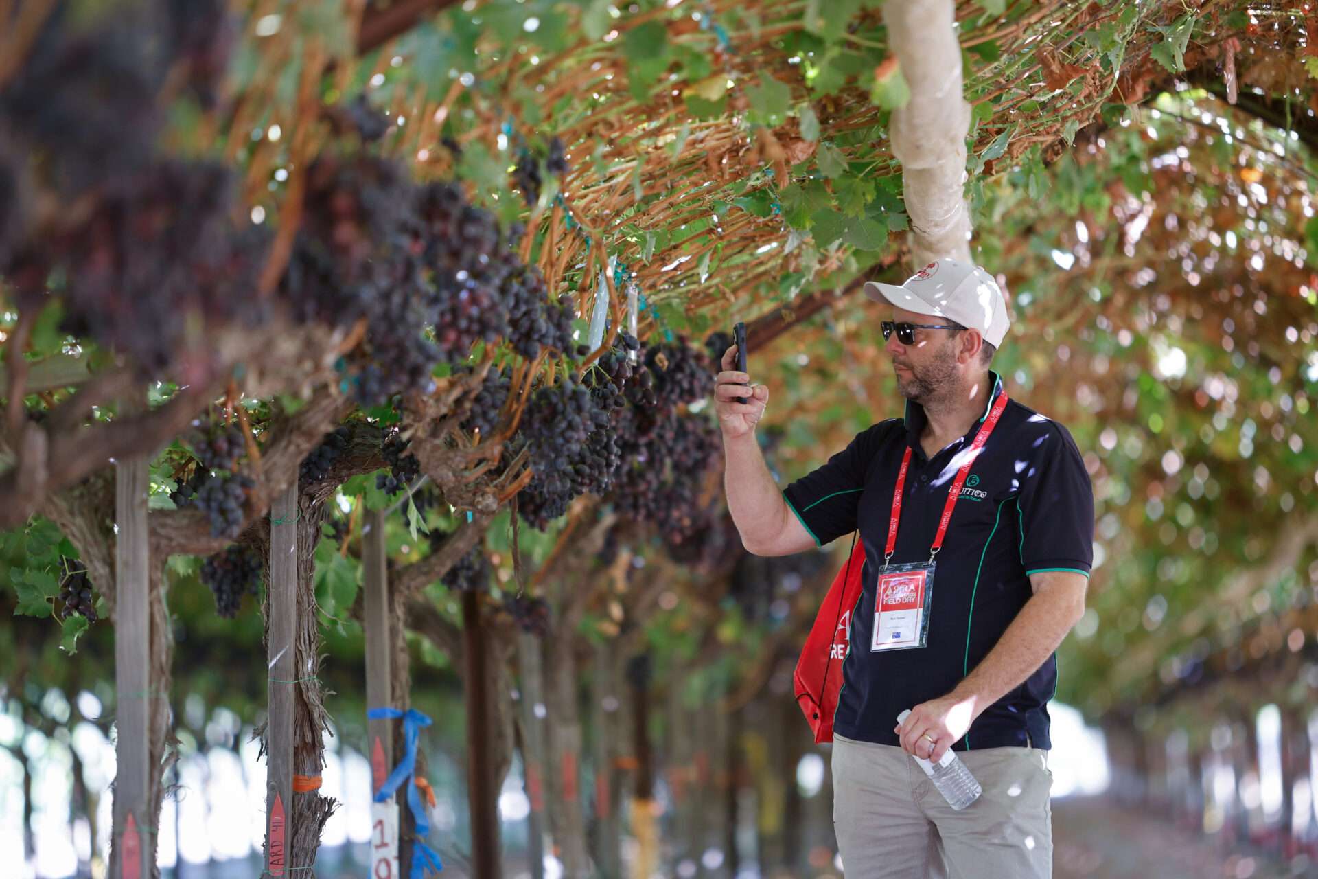Field Days, August 2024
Bakersfield, California