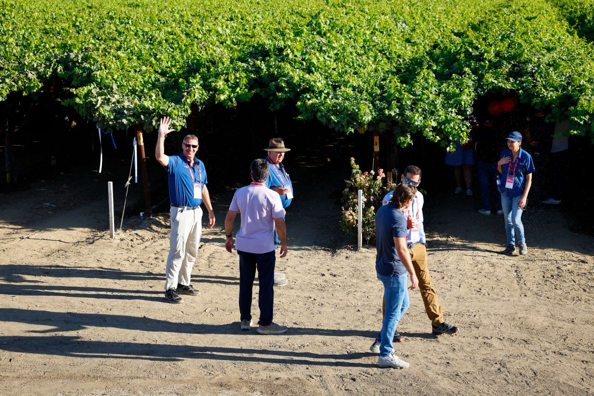 Field Days, August 2024
Bakersfield, California