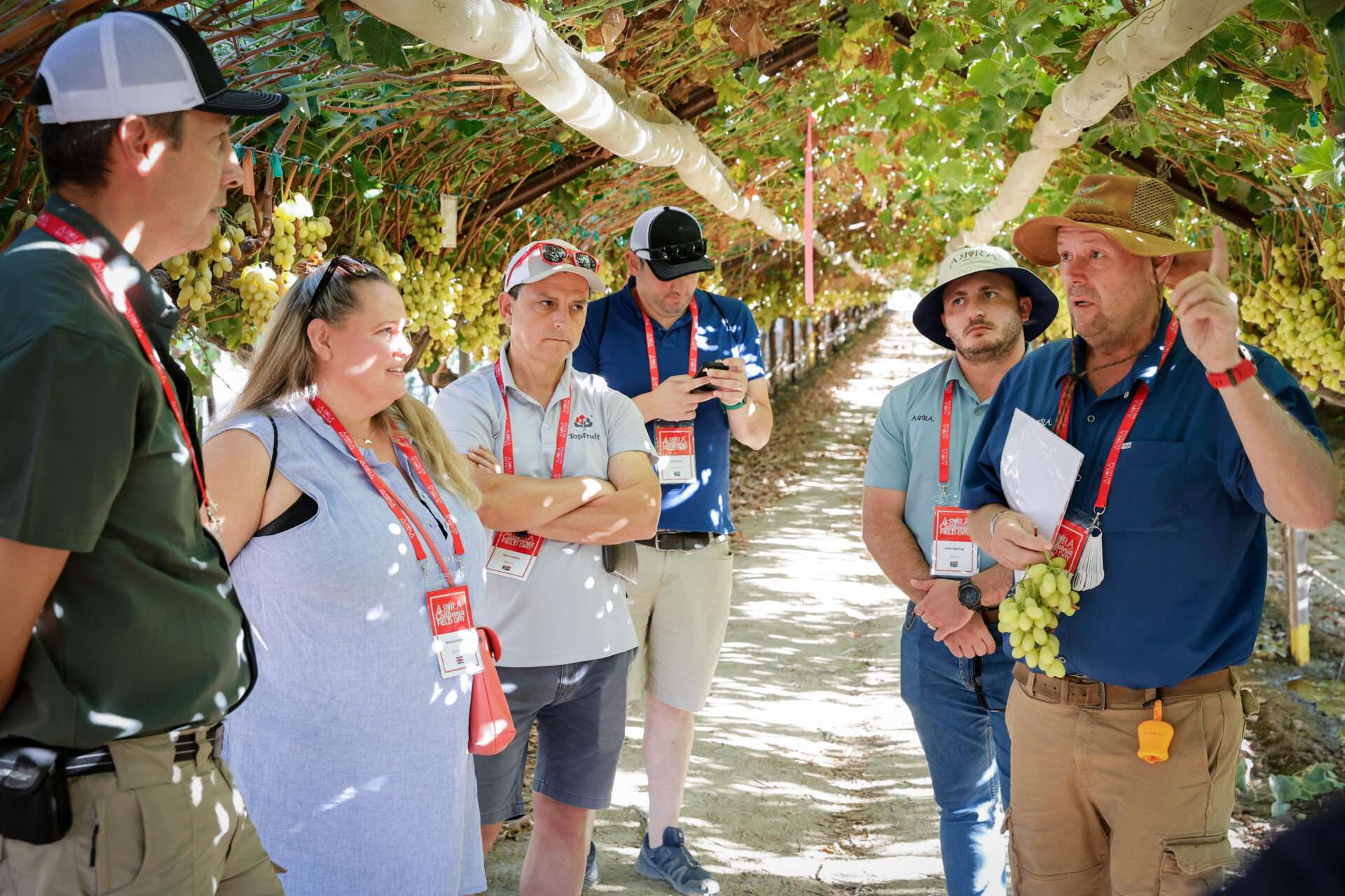 Field Days, August 2024
Bakersfield, California