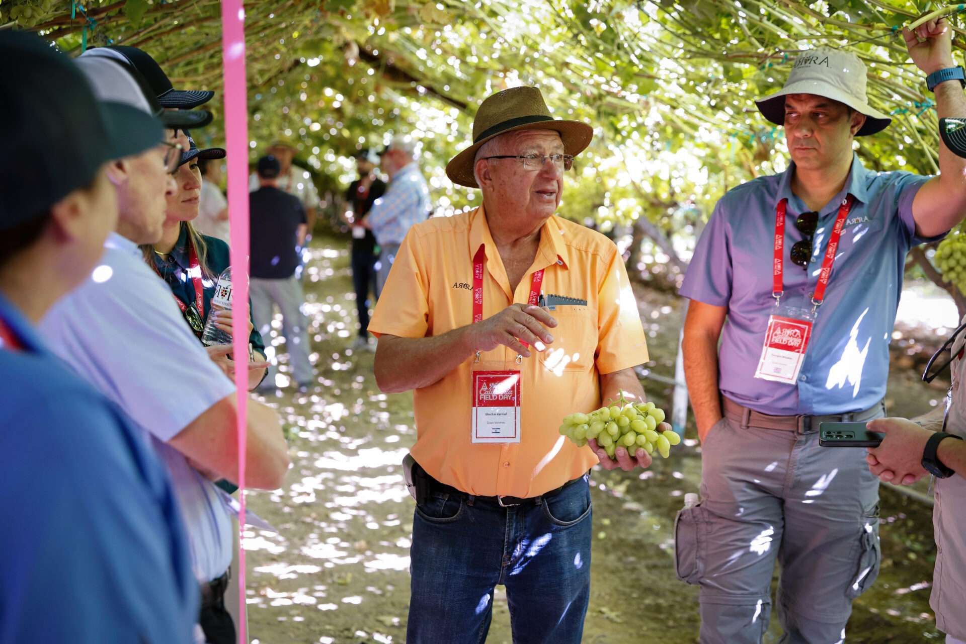 Field Days, August 2024
Bakersfield, California
