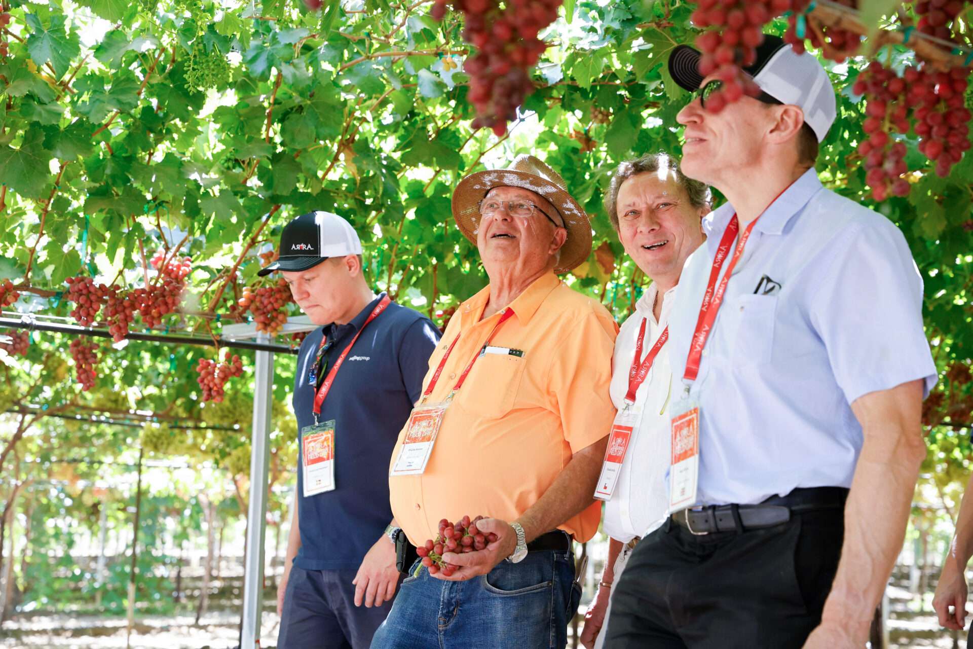 Field Days, August 2024
Bakersfield, California