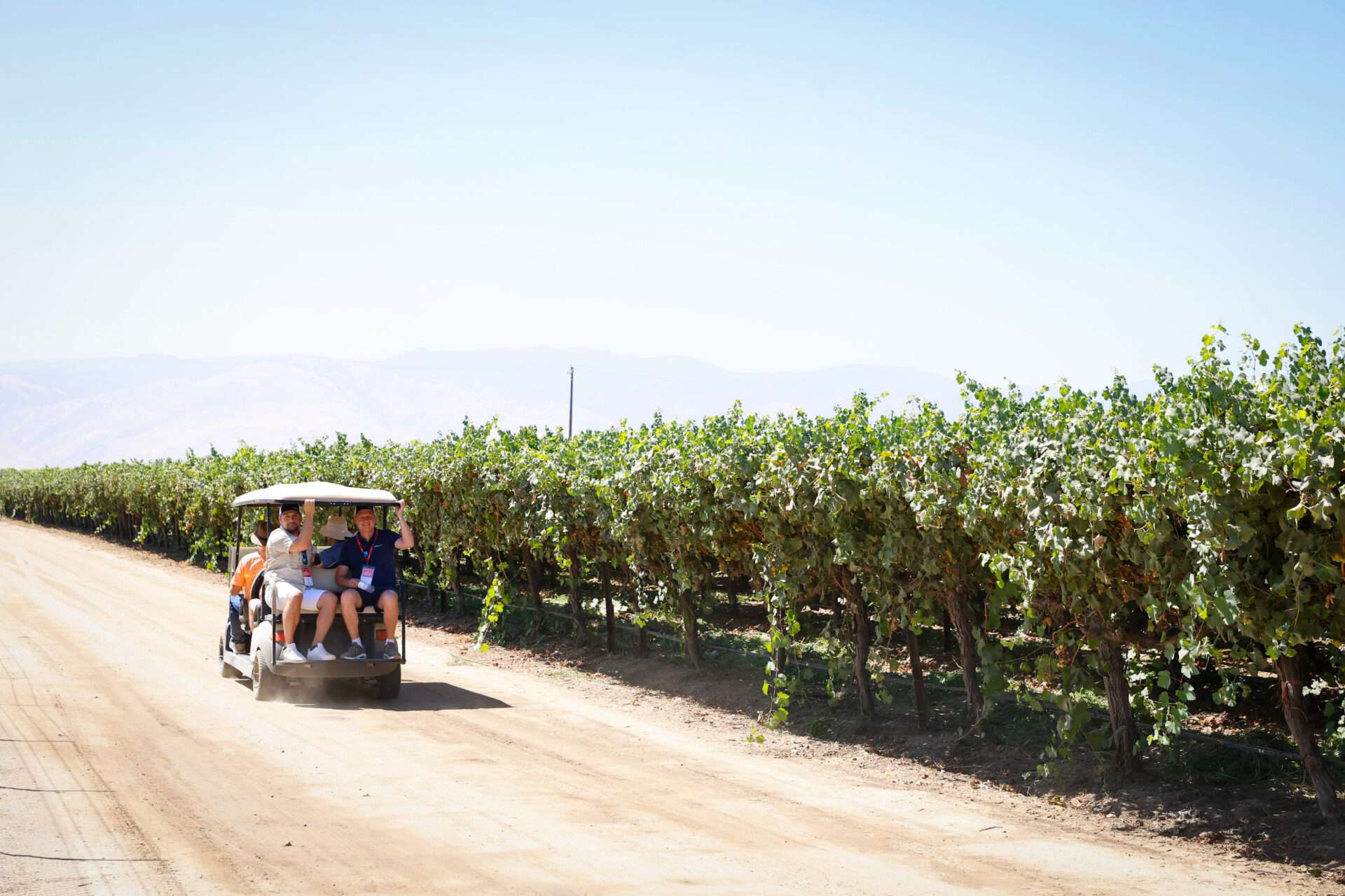 Field Days, August 2024
Bakersfield, California