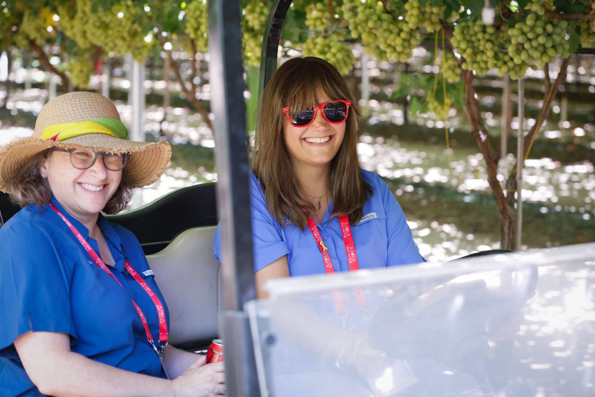 Field Days, August 2024
Bakersfield, California