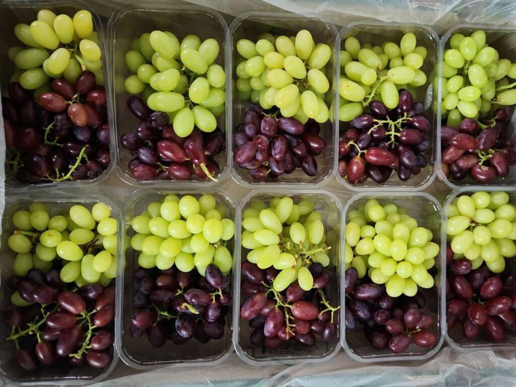 10 punnets of the perfect match: white seedless grape variety ARRA Sweeties and red seedless grape variety ARRA Cherry Crush